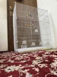 ،، قفاصة عدد 2  ابو الطير الحجم الكبير للبيع استعمال اقل الأسبوع   مضر...