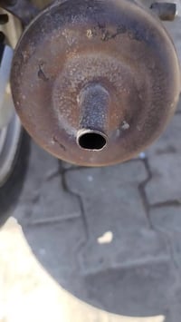 ماكس منغولي • للبيع • مجال شراي