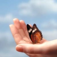 شارع ابو دوخه • ١٨٠م • عقد زراعي ١١٧