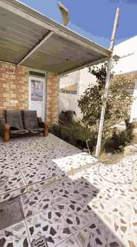 بيت ٢٢٥م • طابو صرف • وجه ٩م