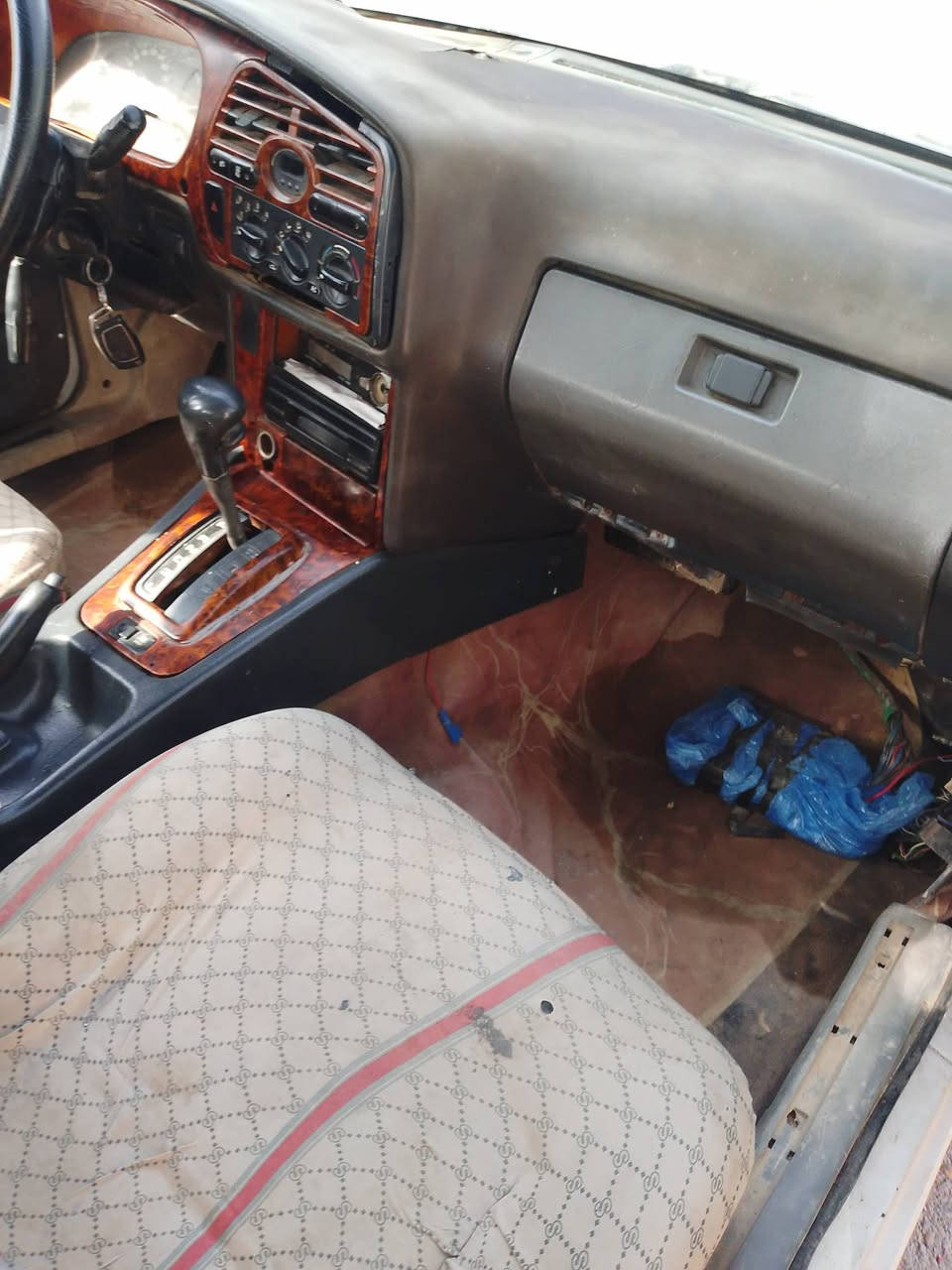 سلام عليكم سياره دايو برنس مديل 97 رقم صلاح الدين مشروع وطني تحويل مباشر سياره بسمي مكينة كير اكسل حدادي كهربائيات شغالة جاهزة من كلشي صبغ حزام فقط للجمالية
شواصي مكفولة السعر 28 بيهة مجال مكان بغداد الحسينية مال راشدية رقم ***********
