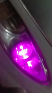 ماكس منغولي • ٤٩بلد • نضافة