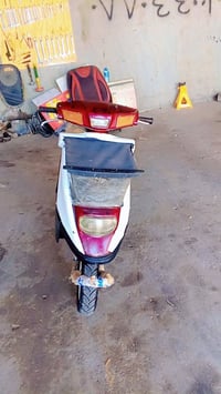 ماطور • معمر • كوير