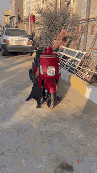 ماكس بوليسي • ٢٠١٣ • كفالة عامة