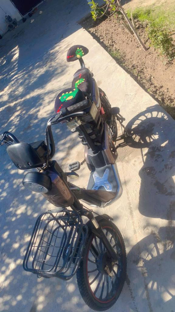 دراجة فول ابو غريب الزيتون
*********** بغداد, العراق
