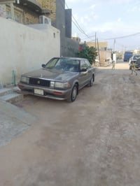 بيع او مراوس شعندك 07883371185