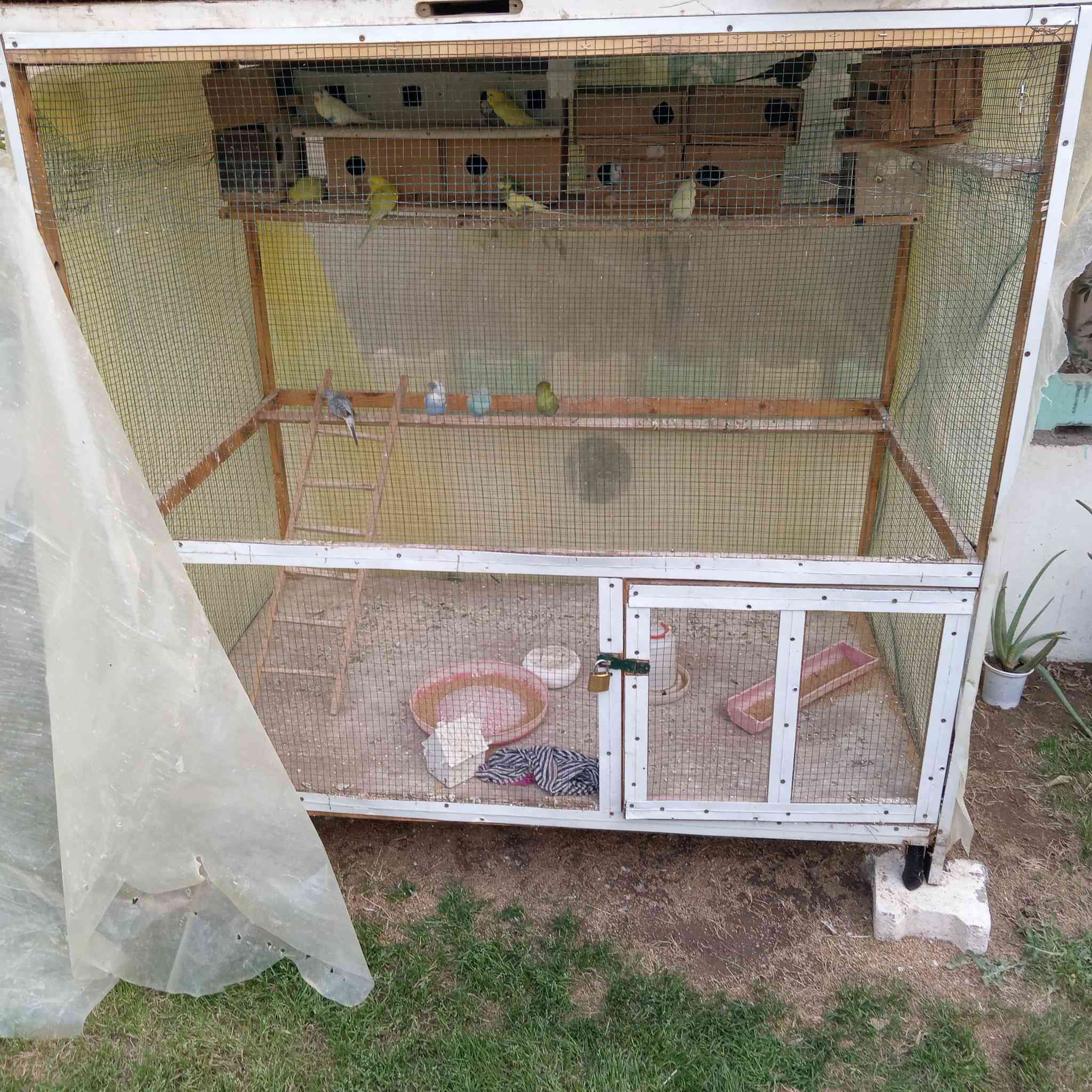 السلام عليكم ورحمة الله وبركاته
قفص للبيع بدون طيور ب100 وبي مجال قفص ارتفاع 150 وعرض 150 نزال 90 اني سويته نظيف ومرتب كاعيه بلوكه
السعر 100 وبي مجال مكاني العبيدي توصيل حسب الاتفاق ***********
