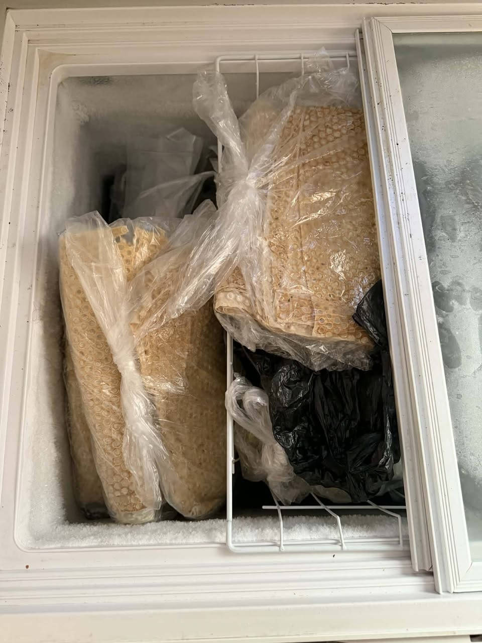 لەهەولیر مامزاوا بیعەیبە و بەشەرت


**إذا كنت صاحب هذا الإعلان وتريد حذفه لأي سبب، رجاءا أرسل رسالة إلى الدعم الفني**