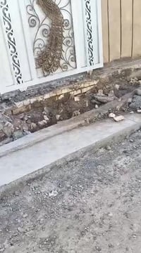 قرب جامع الشهيد رائد • ١٢٥م٢ • غرفة