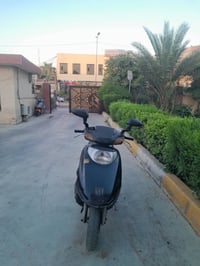 سبيسي • ياباني • معدل فول