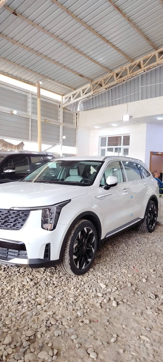 سورنتو ٢٥ بغداد بسمي مكفوله كفاله عامه ماشيه ١٧ الف فول مواصفات ماعدا بنوراما ت *********** ت ***********
