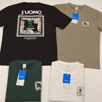 قطن صيني • 2XL-5XL • درجة أولى