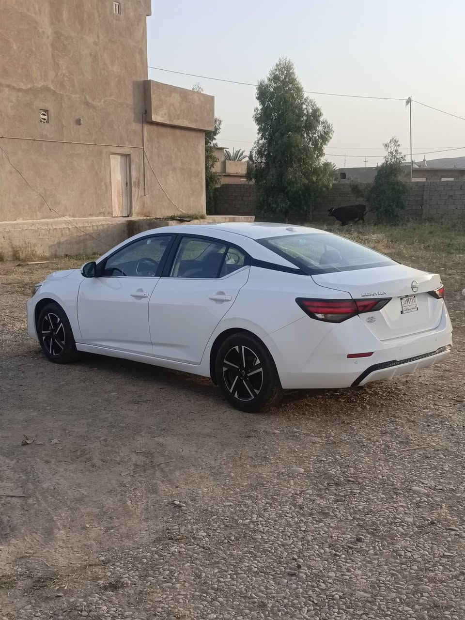 نيسان سنترا 2024 SV
رقم شهداء كركوك وكالة للمشتري الضرر بونيد السيارة مصلحه نفسه وصابغه بدون شاصي بدون دواخل باقي السيارة شرط،

 ويل كب كروم بصمة تشغيل وفتح أبواب رادارات امامي جوانب نقطة عمياء شاشة لمس تحكمات مقود جهتين كامرة خلفية 

السعر المطلوب 135 وبيه مجال

ما اراوس فقط بيع

الشراي يراسلني

رقم الشاصي بالصور


**إذا كنت صاحب هذا الإعلان وتريد حذفه لأي سبب، رجاءا أرسل رسالة إلى الدعم الفني**