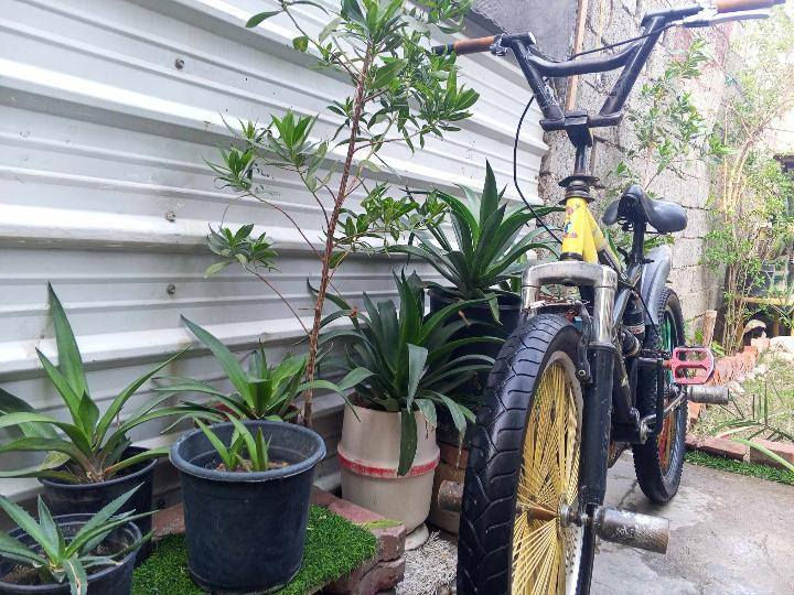 سلام عليكم بايسكل بي ام اكس دبابه للبيع السعر 60 وبي مجال بسيط
يحتاج فقط جوابه
الرقم ***********
بي واتساب
