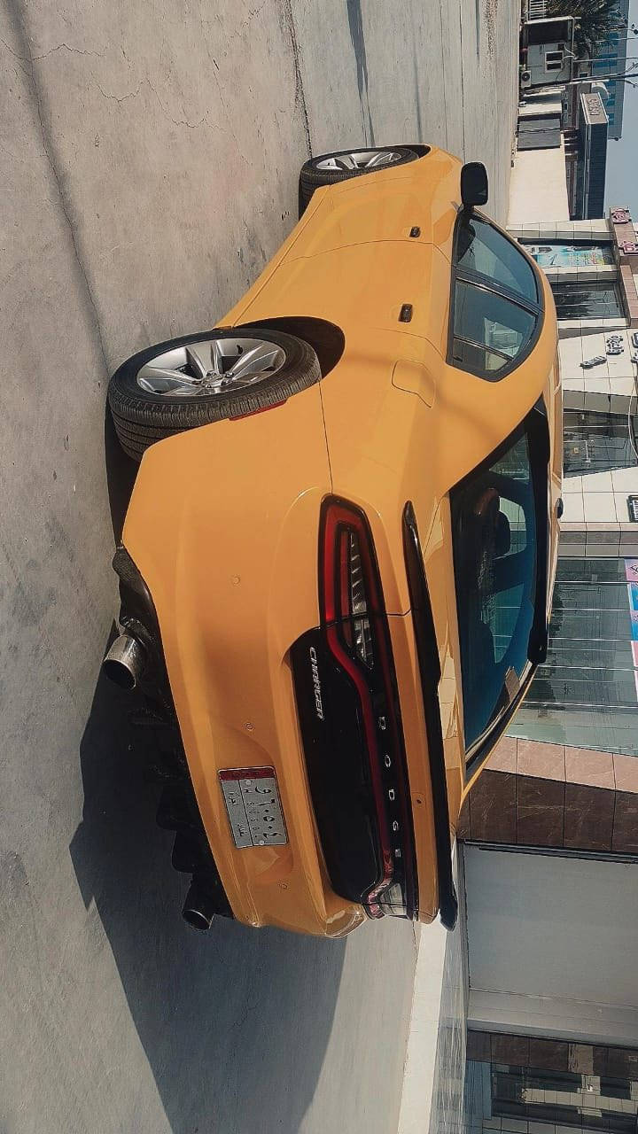 للبيع جارجر 2019اصل
للبيع فقط جارجر 2019مكفوله من الحادث  فقط دعاميه اماميه وبارد كد شبر بقبق الجنطه رقم بغداد باسمي جاهزه عله اخر حبايه كبل لشغل 
السعر 220قابل لتفاوض 
للاستفسار الاتصال 
***********
***********
مكان سياره ناصريه مركز
