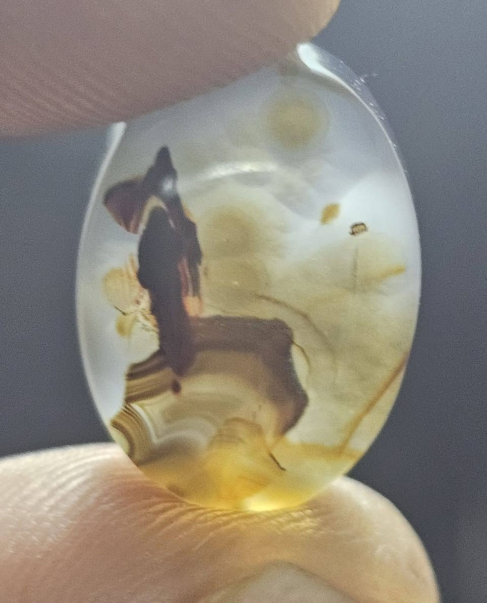 اللهم صل على محمد وال محمد يمانيه مصوره واضحه جدا شخص شايل رايه وكف علا تله أو سفينه طبيعيه لحديكسر بيهه لمايعرف لا يعلق ولعنده مثلهه اني اخذه لوحده يمي قيم سعر يليق بيهه مو تنطي سعر مال كسران جايبه قيمه عاليه ومابايع لين مو سعرهه لخاص مفتوح ومبين منو لشخص ليعرفا  لشخص هاذه ابو مصلحه


**إذا كنت صاحب هذا الإعلان وتريد حذفه لأي سبب، رجاءا أرسل رسالة إلى الدعم الفني**