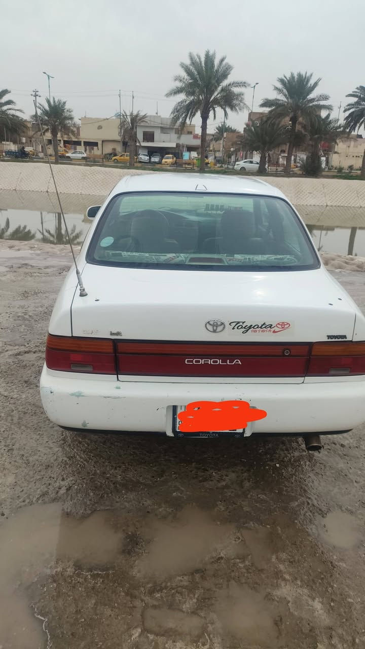 السلام عليكم كورلا موديل 94 للبيع مكان كوت  حي الجهاد  نقصهى صدر ولاستيك بيبان سياره مكفوله كفاله عامه من ضربه ومن كص ومن صبغ بيهه تكحيل صبغ قليلل كير ومكينه مكفوله كفاله عامه نقص بلكات ونوزلات خياسات ببهه ب جاملغات مو ضحات ب فيديو
رقم التليفون: ***********سياره رح انشر بيه فيديو السعر 63وببه مجال قليل ومداور ثاني يوم سياره ل 2026تصقط سنويه مالته
