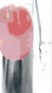 باسكل ياباني • حجم 26 • ناصرية سوق الشيوخ