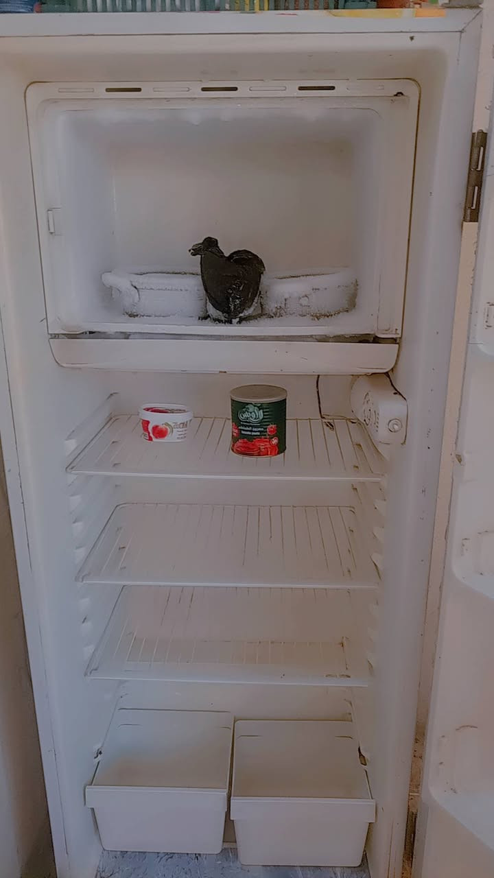 سلام عليكم طباخ شغال من طول لطول فرن وكلشي ثلاجه خير من الله شغاله ثلج للبيع قفل ١٥٠ سعر نهائي


**إذا كنت صاحب هذا الإعلان وتريد حذفه لأي سبب، رجاءا أرسل رسالة إلى الدعم الفني**