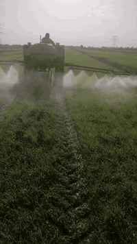 يا الله سلام عليكم البيع مرشه دوه مكفوله كفاله عامه ستخدام موسم واحد ف...