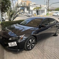 تيما فول • ٢٠١٩ • وارد أمريكا