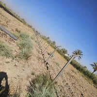 كربلاء شارع الابراهيميه • ٣٥٠٠م • واجهة ٦٥م