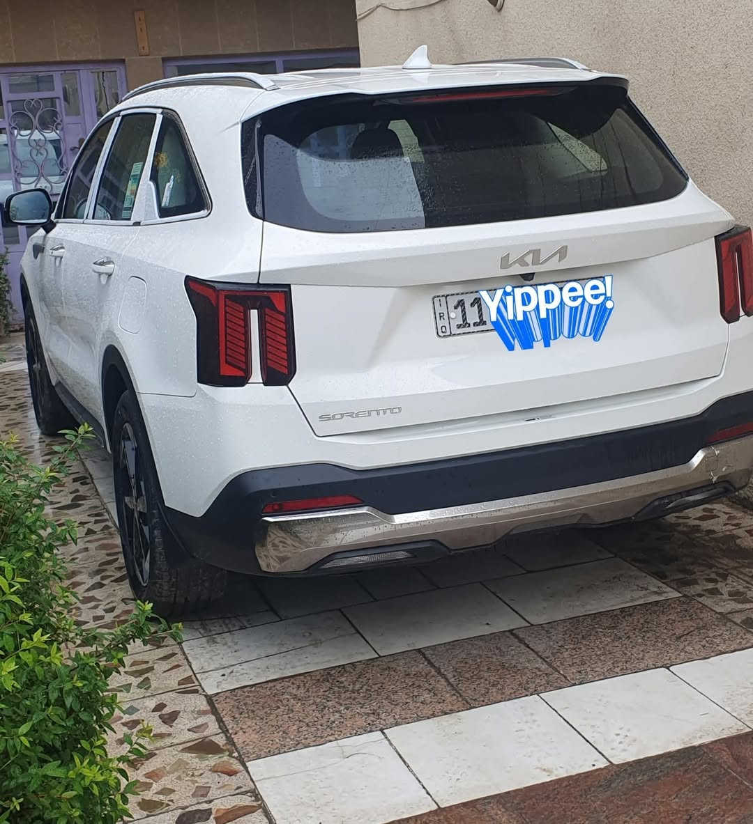 السلام عليكم 
سورنتو ٢٠٢٤ دولية 
رقم بغداد انكليزي
مكينه ٦ سلندر
فول عده البنراما
مري شفط
بصمه 
كير موس
كشنات كهرباء
تشغيل عن بعد 
جنطه كهرباء
فول حساسات امامي خلفي 
ويل كب كروم 19
شاشه ديجتال 
تبريد ٣ قطع 
ماشيه 21 الف
بيها رصعات بسيطة مأشرة 
والسونار موجود 
مكان السياره بغداد 
*********** وتساب
