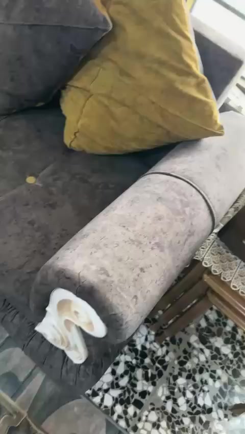 تخم قنفات كما مبين بالصور للبيع السعر ١٥٠ العنوان شارع فلسطين قرب تقاطع النخلة


**إذا كنت صاحب هذا الإعلان وتريد حذفه لأي سبب، رجاءا أرسل رسالة إلى الدعم الفني**