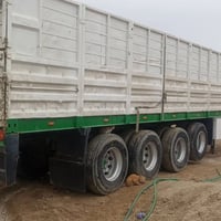 عربانة • طول ١٢٫٣٠م • واسط صويره