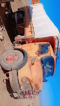 ردين • موديل 80 • ربيعه