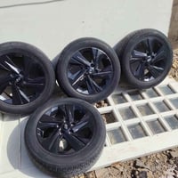 للبيع أو مراوس  السعر ٣٠٠الف بغداد بوب الشام  ٠٧٧١٠٠٠٤٤١٦