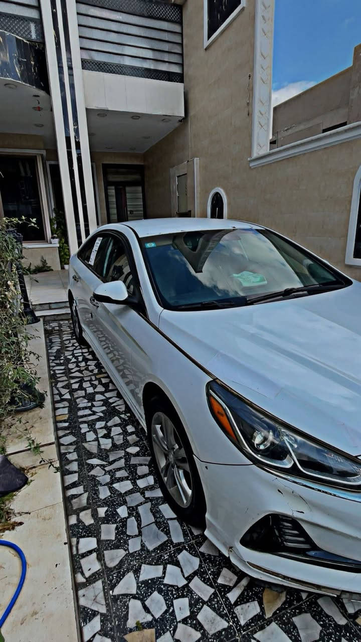 مكاني البلديات سيارة موديل 18 بدون ضربة ضربتها بلدعامية الورا فقط  سيارة نضيفه بيها تگشير قليل سعر 35 وبيها مجال حك الجية ***********
