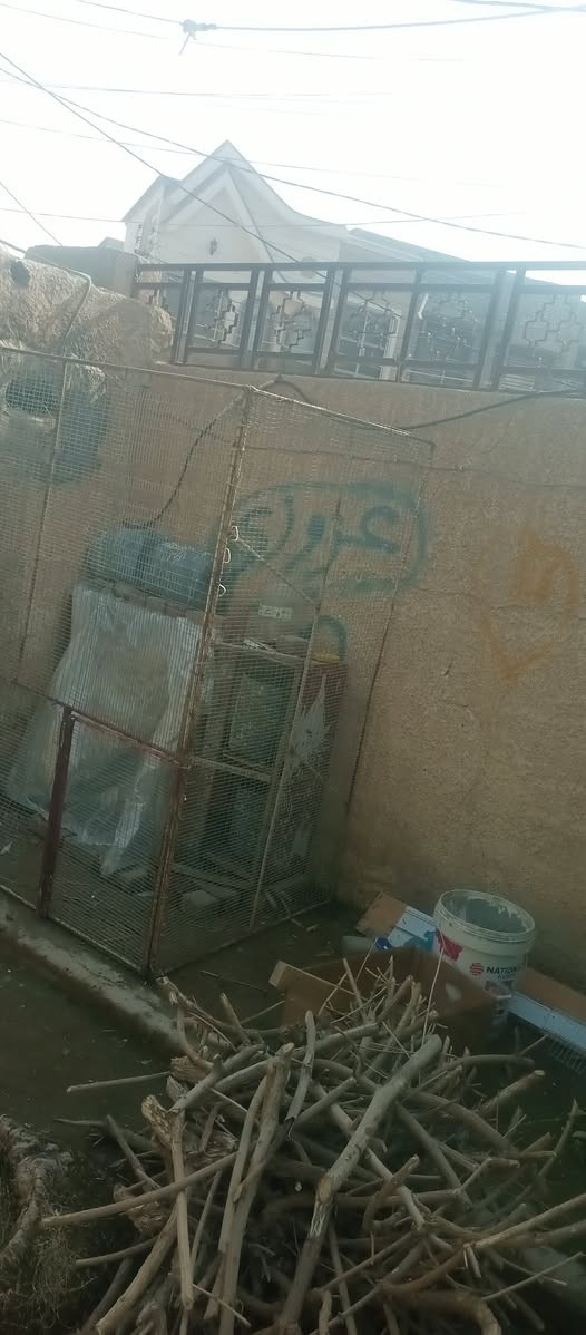 سلام عليكم واجهة وصفحه حديد للبيع او مراوس بطيور دك عرقم مامتواجد، فيس /***********
