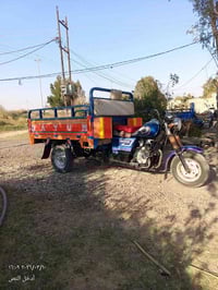 ستوته • مديل ٢١ • اوراق