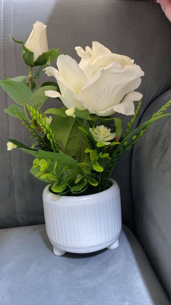 منزلي/نباتات صناعيه/فازات/ورود
اسعار مناسبه جدا تصفيه
توصيل داخل بسمايه  الف


**إذا كنت صاحب هذا الإعلان وتريد حذفه لأي سبب، رجاءا أرسل رسالة إلى الدعم الفني**