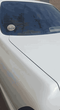 (السلام عليكم)
للبيع راس الثور فلات

رقم بصره دولي بسمي لل 31

مكاني كربلاء 

 مكينه ففيتي 

فيشتين جديده كير جديد 

غرفه كارتون كشنات كهرابائيه 

سستم سماعات مضخم 

سياره جديده احله من الصور 

مكفوله من النقل جثه والكصه الثانيه بيه فقط  (كصت بجم) 

السعر88وبيه مجال 

مامتواجد عل فيس هذا رقمي بي واتساب 

***********
