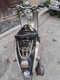 شغاله • نضيفه • نقوصات