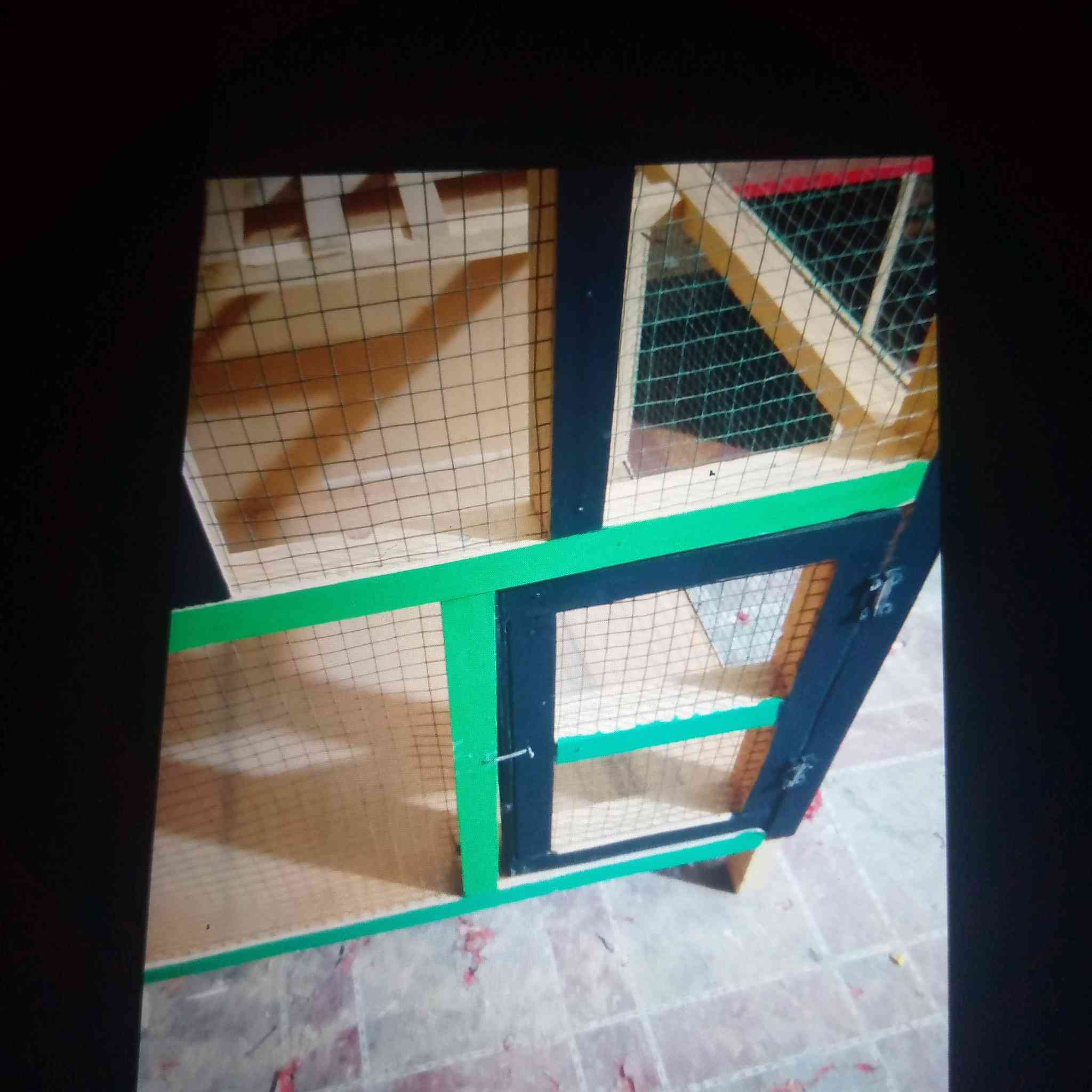 قفص للبيع


**إذا كنت صاحب هذا الإعلان وتريد حذفه لأي سبب، رجاءا أرسل رسالة إلى الدعم الفني**