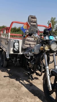 ستوته • نثيه • ٢٠١٧