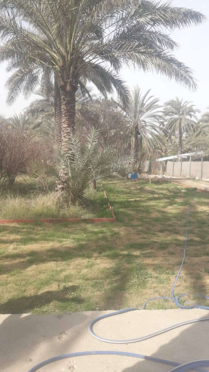 اخوان دونم للبيع في منطقه الراشدية بل عاصفه سند 25 الواجهيه 22 نزال200 ***********
