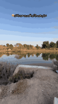 ابو الخصيب • اراضي وبساتين • ٢٥٠٠م