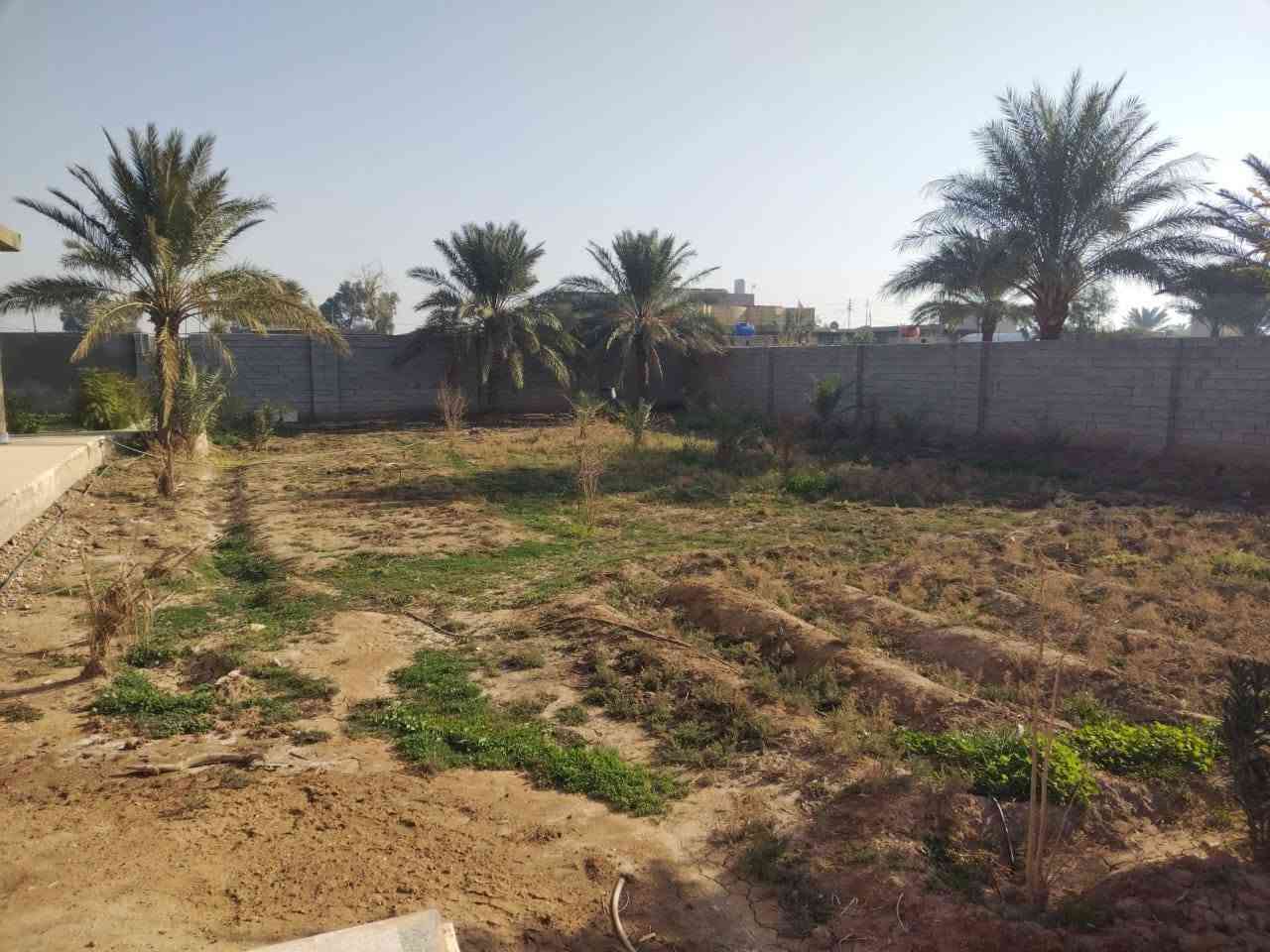 للبيع بيت مساحة 1300 طابو 25 يتحول بالاسم يتكون من طابقين 4غرف نوم  ماء كهرباء فوول بيع او ايجار لمدة سنة  والتفاصيل بلفيديو 🇮🇶 رقم راعي العقار والستد بسمه *********** ابوعلي 

ملاحظه /اي شئ عندك للبيع بيت او سياره او اغراض ننشرها لكم بعموله بسيطه  

شكرا لدعمكم 🙏
