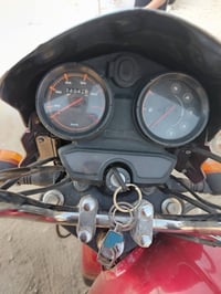 بوكسر كلاسك • أوراق • ماشيه ٣٤