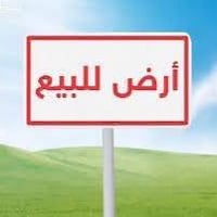 طابو زراعي • سند ٢٥ • ٨٥٠م