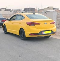النترا • ٢٠١٩ • وارد أمريكي
