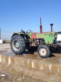 سيارة جزائرية • مكفولة • ميسان