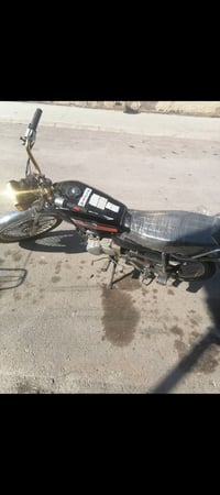 تايكر • بدون أوراق • المقداديه ديالى