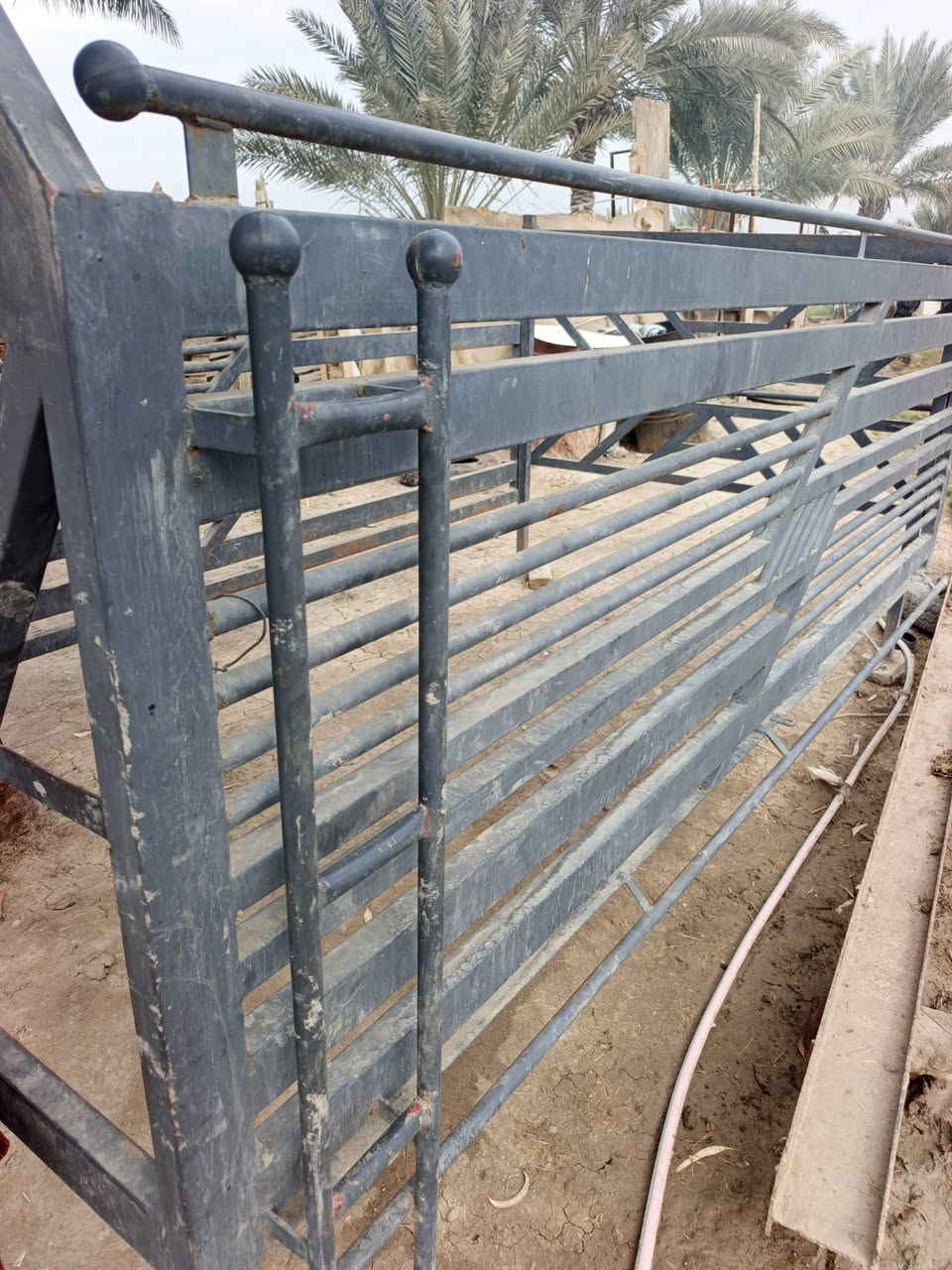 محجر مال فحل البيع ***********
