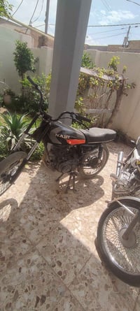 سيجي • اسود • بلا اوراق