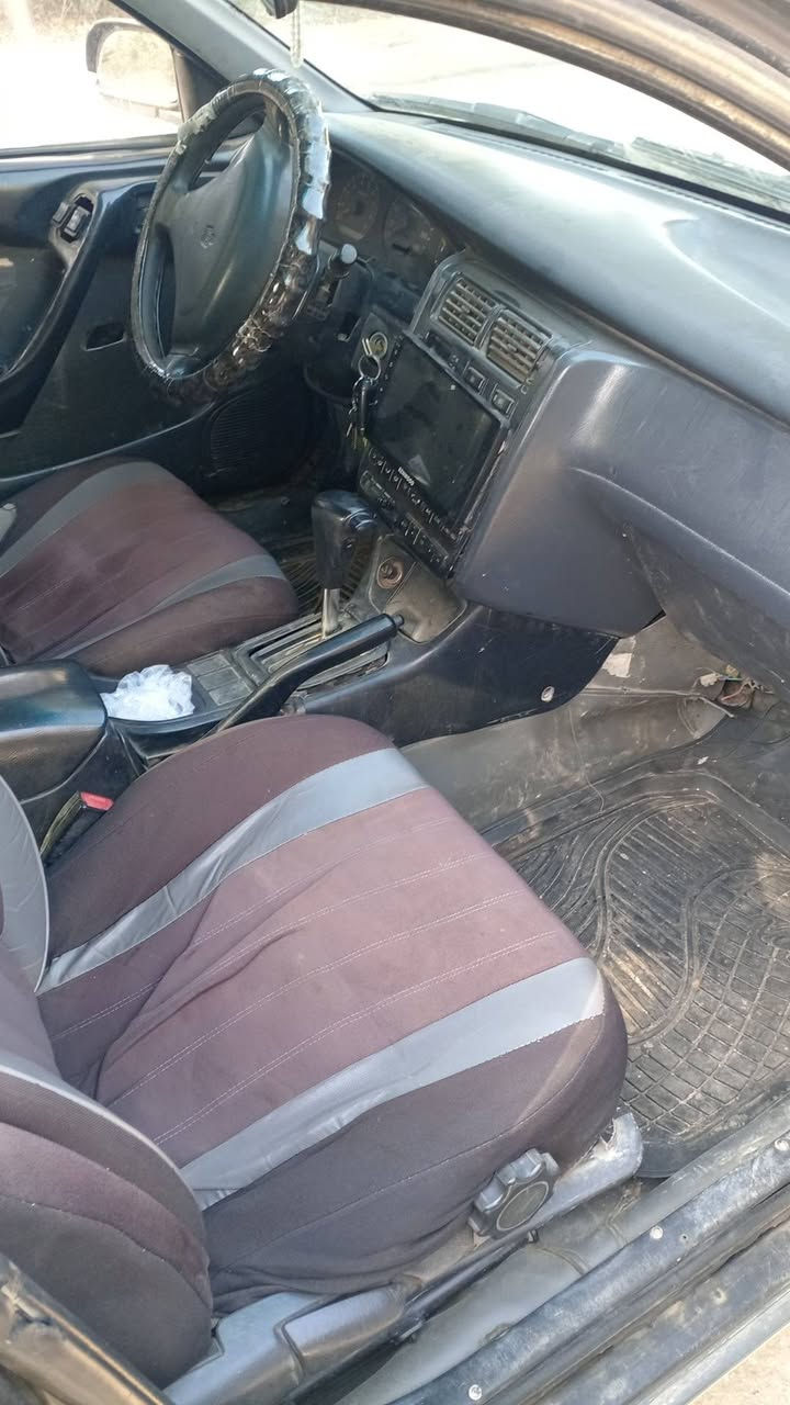 السلام عليكم فرخ بطه للبيع رقم الانبار تتحول بالموصل شرط التحويل رقم مسطره سنوية ل 2030السعر 32 وبيها مجال للطيبين *********** $***********
